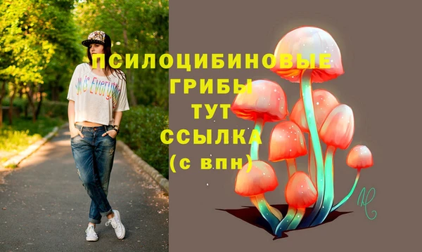 кокс Абаза