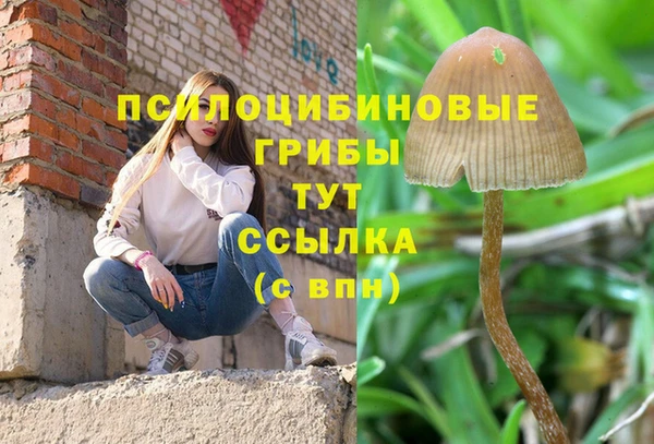 прущая мука Абинск