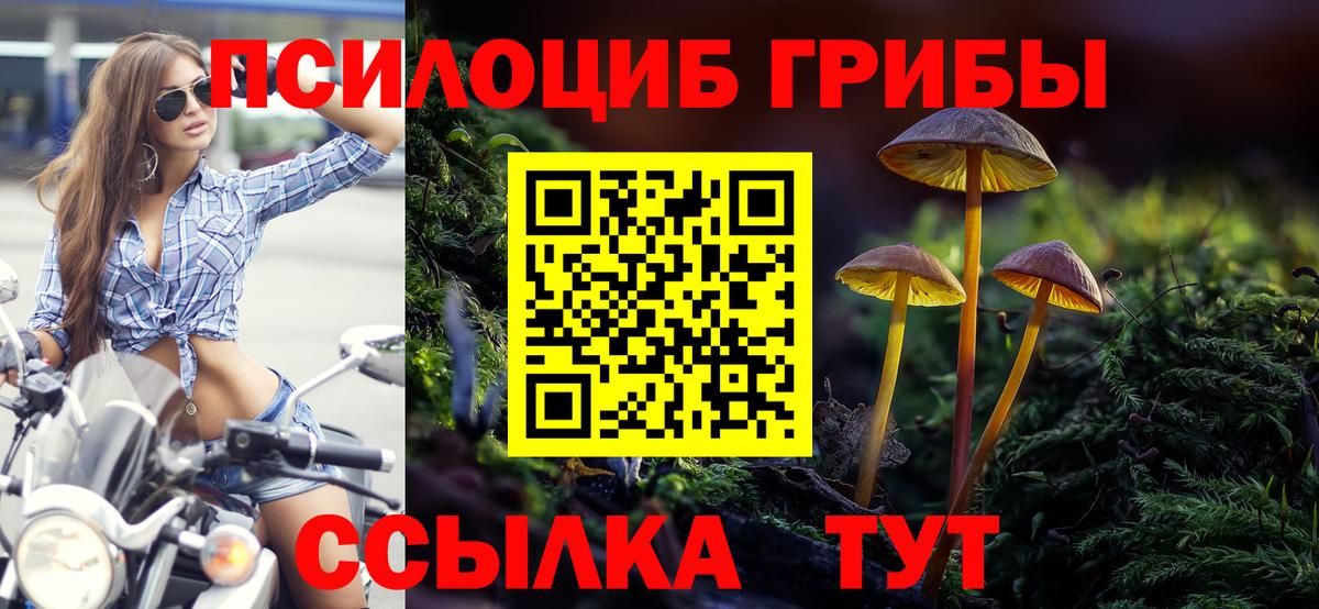 дарнет шоп  Вход с VPN  Ртищево  Псилоцибиновые грибы MAGIC MUSHROOMS 